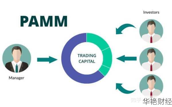 外汇pamm是什么意思-外汇pip和bps区别