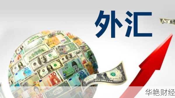 国家外汇有什么用(国家外汇门户官网)