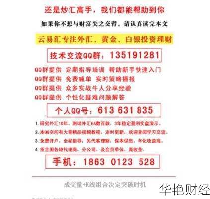 外汇代理是怎么回事(外汇交易代理)