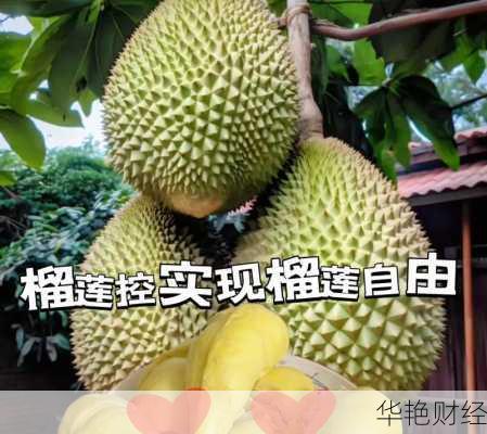 外汇榴莲计划是什么意思