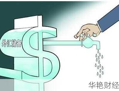 外汇流失带来的后果(外汇流失是什么意思呀)