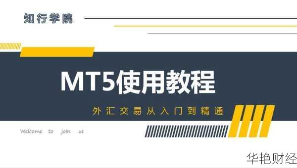 炒外汇规则-炒外汇怎么看mt5