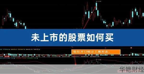 未上市的股票怎么购买啊多少钱(未上市公司的股票怎么买)