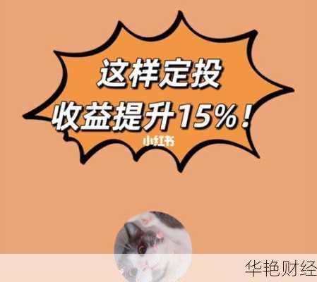 实用投资理财技巧视频解析，让你快速提升收益！