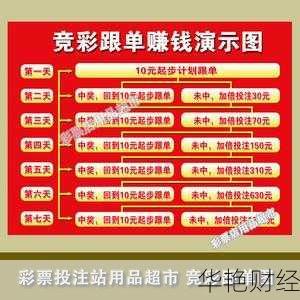竞彩理财攻略：精准跟单技巧助你盈利