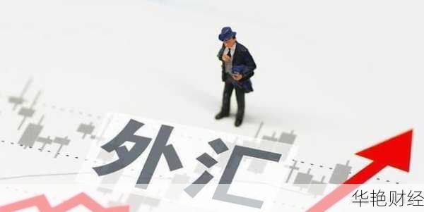 外汇高票是什么意思？全面解析与应用场景