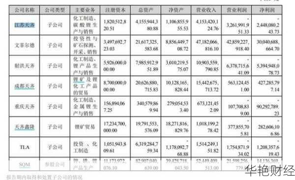 天齐锂业股票分析：002466未来趋势预测与投资指南