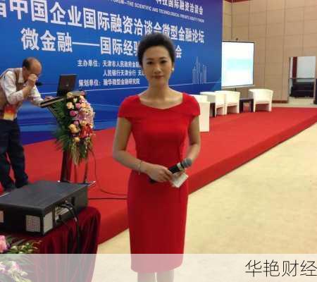 深度剖析:财经新闻央视主持人张琳的职业之路