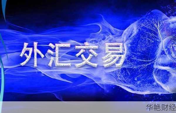 什么是花外汇?全面解读外汇的意义与应用场景
