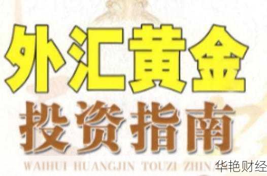 外汇中的TDS解析：TDS外汇是什么意思及如何影响交易