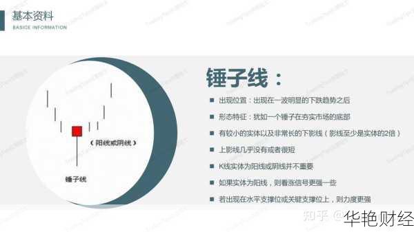 外汇主盘的定义与重要性：你需要知道的事