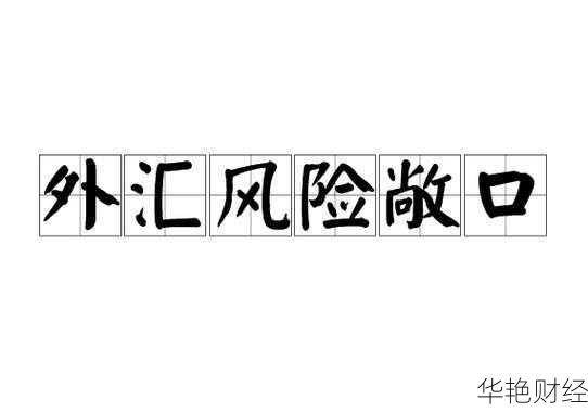 外汇敞口详解:从货币错配到风险控制的深入解析