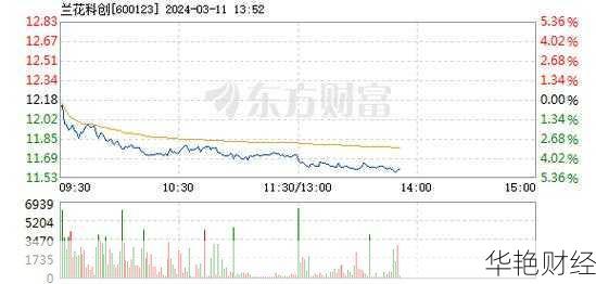深度分析兰花股票(SH600123)：回购计划与未来前景