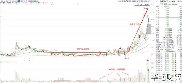 股票涨速解析:快速上涨背后的投资机会