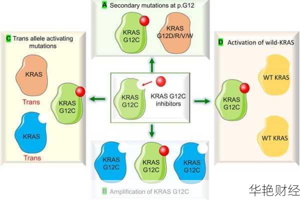 什么是Kars外汇?了解外汇市场中的Kars交易