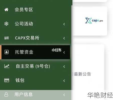 外汇CAPX是什么意思？全面解析CAPX交易平台的背景与功能