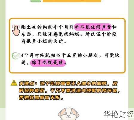 凤凰理财技巧大全：从基础到进阶的全面指南