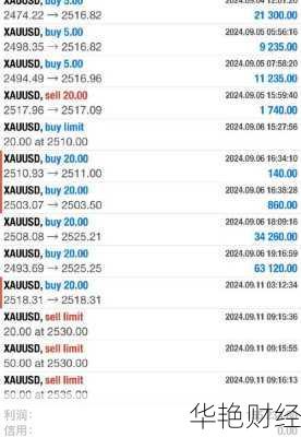 什么是Pro外汇账户？外汇Pro账户详解与使用指南