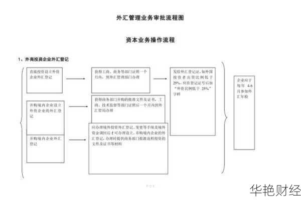外汇审查流程详解:银行与企业如何应对外汇审计审核