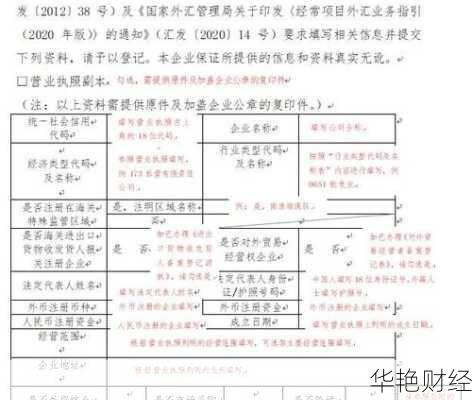 外贸外汇是什么意思?详解外贸外汇的概念与分类