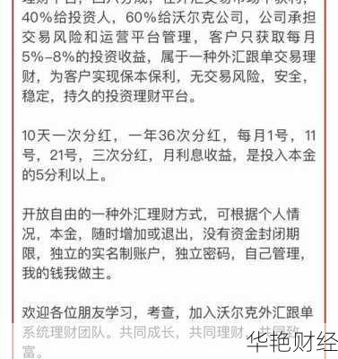 数字外汇的定义及其在外汇市场中的应用