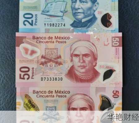 什么是外汇MXN？一文带你了解墨西哥比索的含义和用法