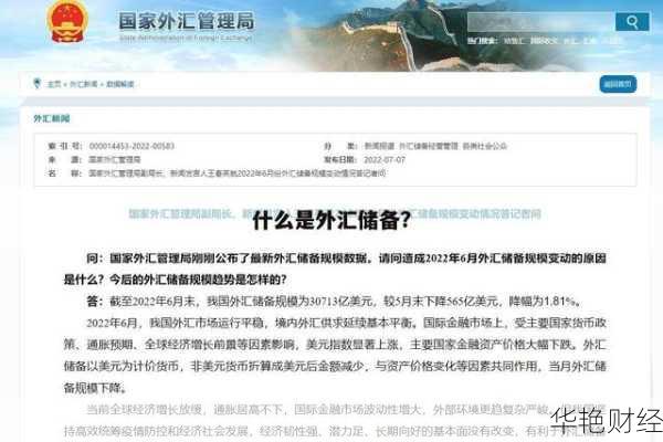 储存外汇是什么意思？简单几句话让你搞懂外汇储备