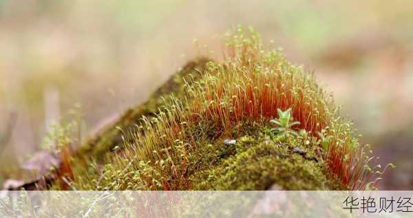 啥是外汇预留？简单几句话给你说明白！