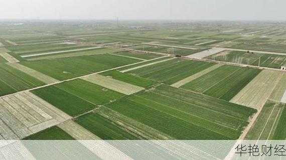 财经新闻聚焦丰县：本地经济发展，有哪些新机遇？