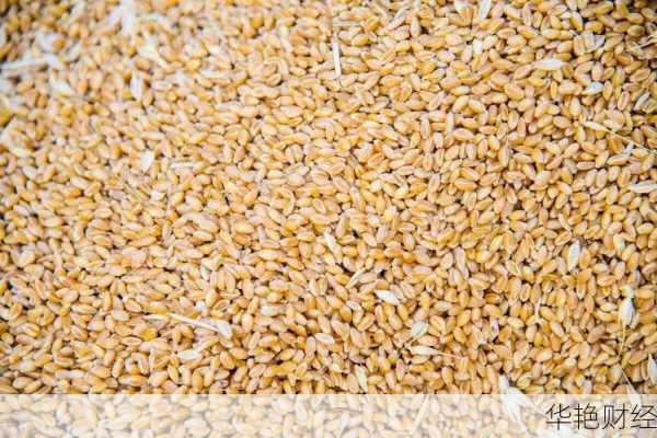 想投资小麦股票？不知道怎么购买？看这里就对了！