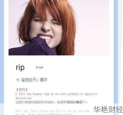 rip外汇是什么意思?外汇老司机教你轻松入门!