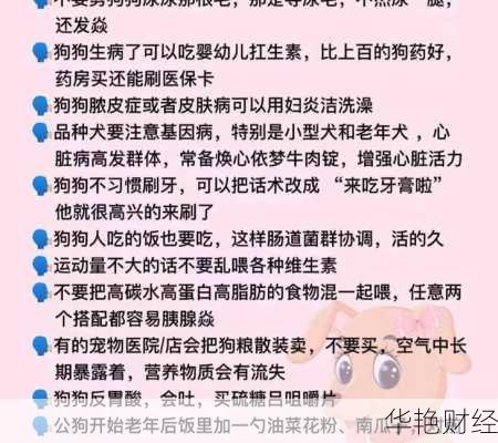 小狗理财技巧有哪些？新手主人必须要知道！