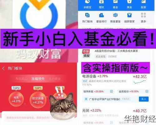 外汇roll是什么意思?新手小白必看干货知识!