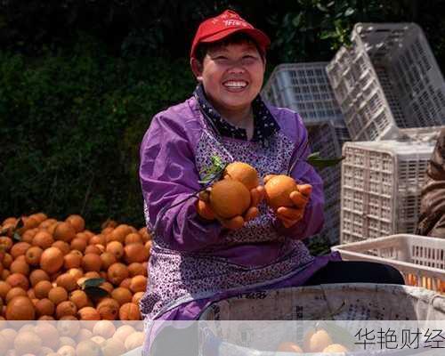 财经新闻安远脐橙丰收了吗?今年行情咋样?