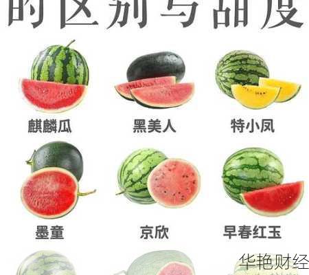 西瓜理财技巧有哪些?这几个方法让你轻松理财!