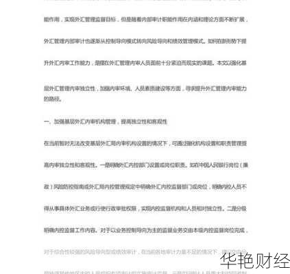 外汇审计是什么意思？这篇攻略让你秒懂它！