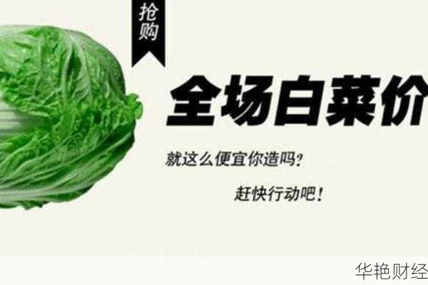 外汇白菜是什么意思？外汇新手看过来！