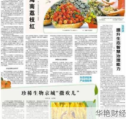 荔枝年的财经新闻荔枝红tv财经