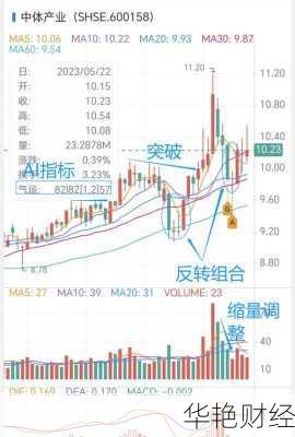 中体产业股票(中体产业股票股吧)