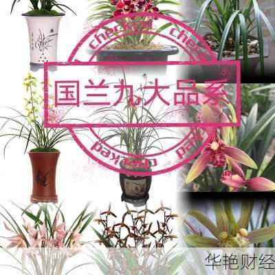 兰花科创股票兰花科创股票行情