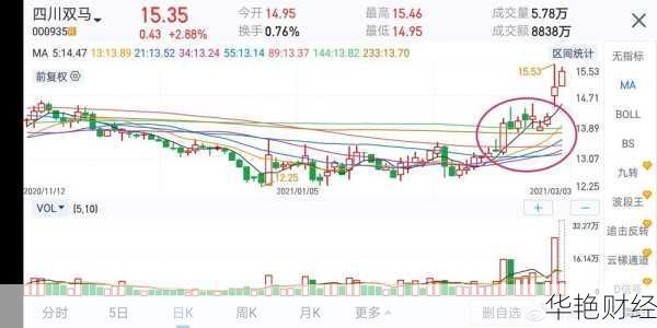 四川双马股票(四川双马股票主力资金图表)