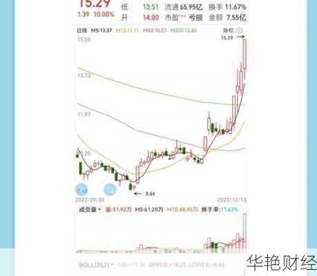 海南椰岛股票海南椰岛股票是做什么的