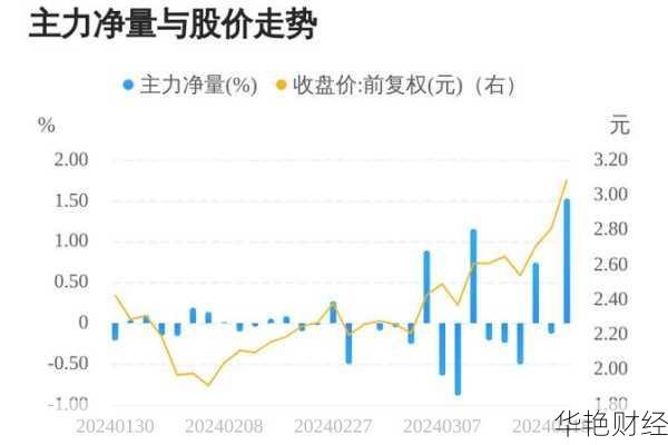 瑞贝卡股票-瑞贝卡股票资金流向