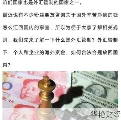 399外汇是什么意思;399外汇是什么意思啊