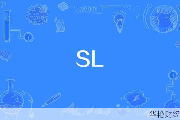 sl是什么意思外汇(sl在外汇中是什么意思)