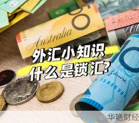 仅限外汇是什么意思 仅限外汇是什么意思啊