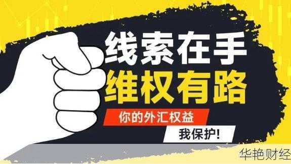 外汇315是什么意思(外汇315是什么意思啊)