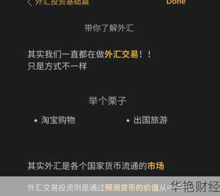 外汇try是什么意思,外汇forex是什么意思