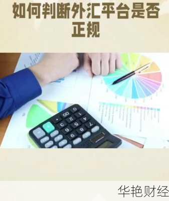 外汇正规是什么意思—正规的外汇具备什么条件