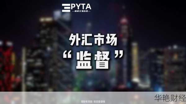 外汇监督是什么意思、外汇监督是什么意思啊